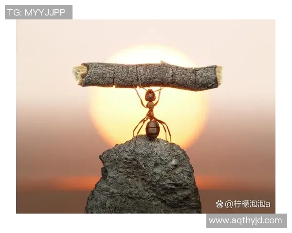 不屈不挠的足球巨星们如何在逆境中坚持自我与信念