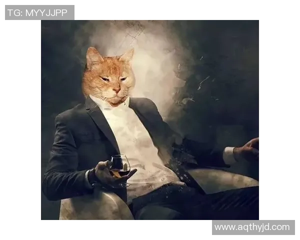 和足球明星一起P图的创意玩法分享，让你的照片瞬间变身球场巨星