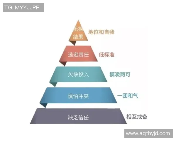 南京排球队战术创新与团队协作的深度解析与展望