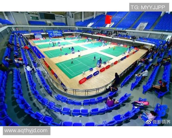 深圳羽毛球队精英赛战术分析与表现评估全景解读