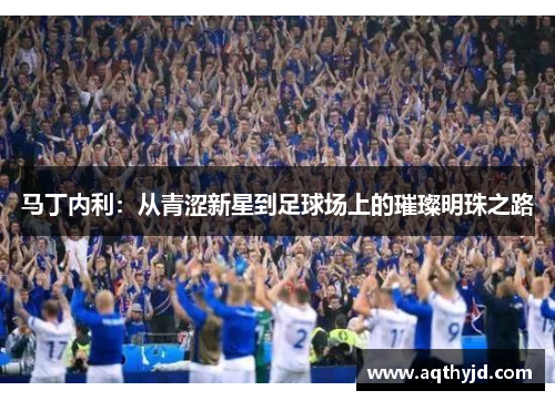 马丁内利：从青涩新星到足球场上的璀璨明珠之路